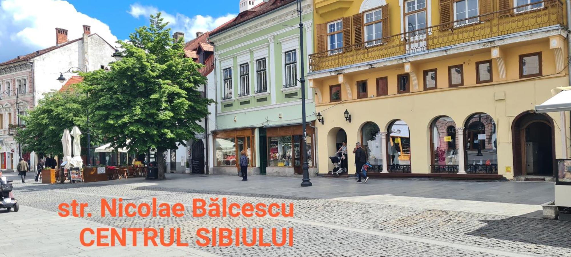 Victorian House Apartment Sibiu Luaran gambar